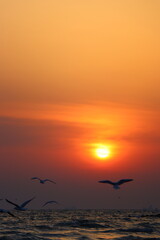 sunrise over the sea