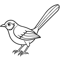    Bird vector illustration.
