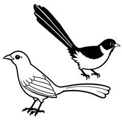    Bird vector illustration.
