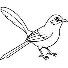    Bird vector illustration.
