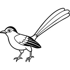    Bird vector illustration.
