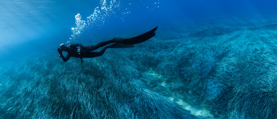 Freediver Swimming in Shallow Sea With Sea Grass. - 781887280
