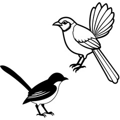 Fototapeta premium Bird vector illustration 