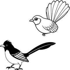    Bird vector illustration
