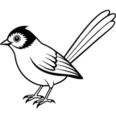    Bird vector illustration
