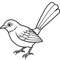 Fototapeta premium Bird vector illustration 
