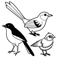    Bird vector illustration
