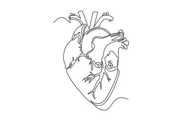 One continuous line drawing of anatomy of human concept. Doodle vector illustration in simple linear style.