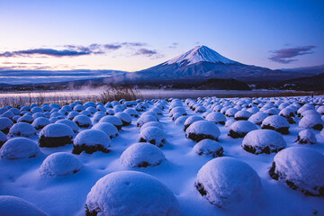 大石公園から富士山と雪景色