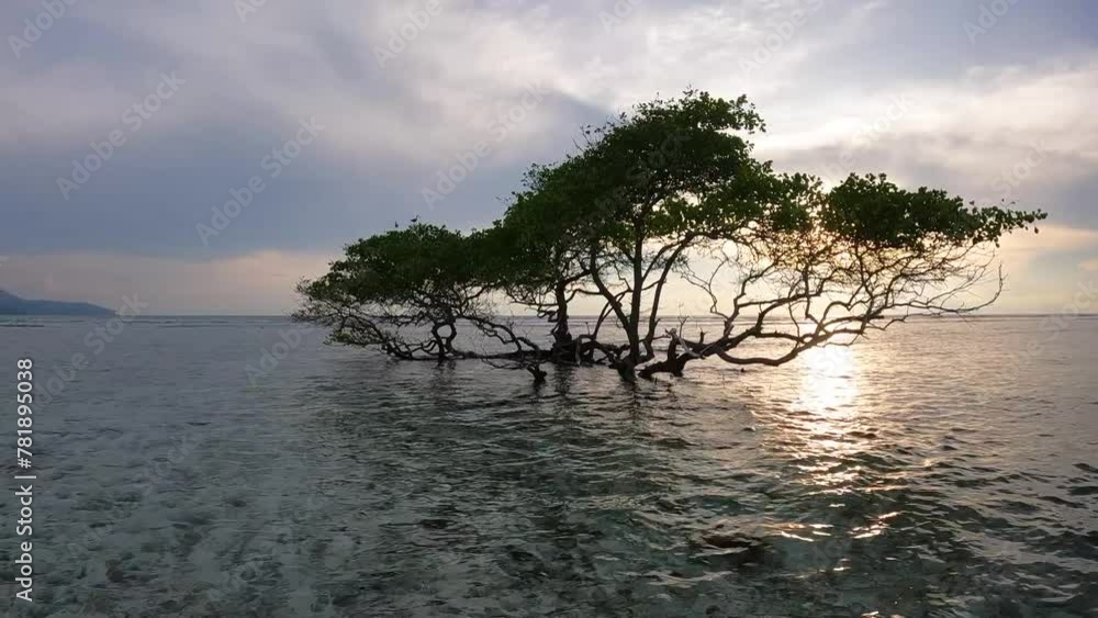 Poster a tree is floating in the water with the sun setting in the background. the scene is serene and peac