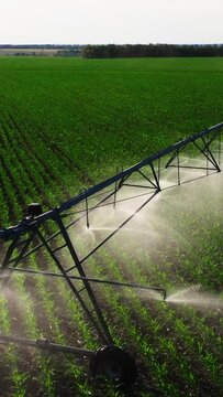 Vertical video, drone aerial view of rain cannon irrigation system on agricultural soybean field helps grow plants in dry season, improves crop yield