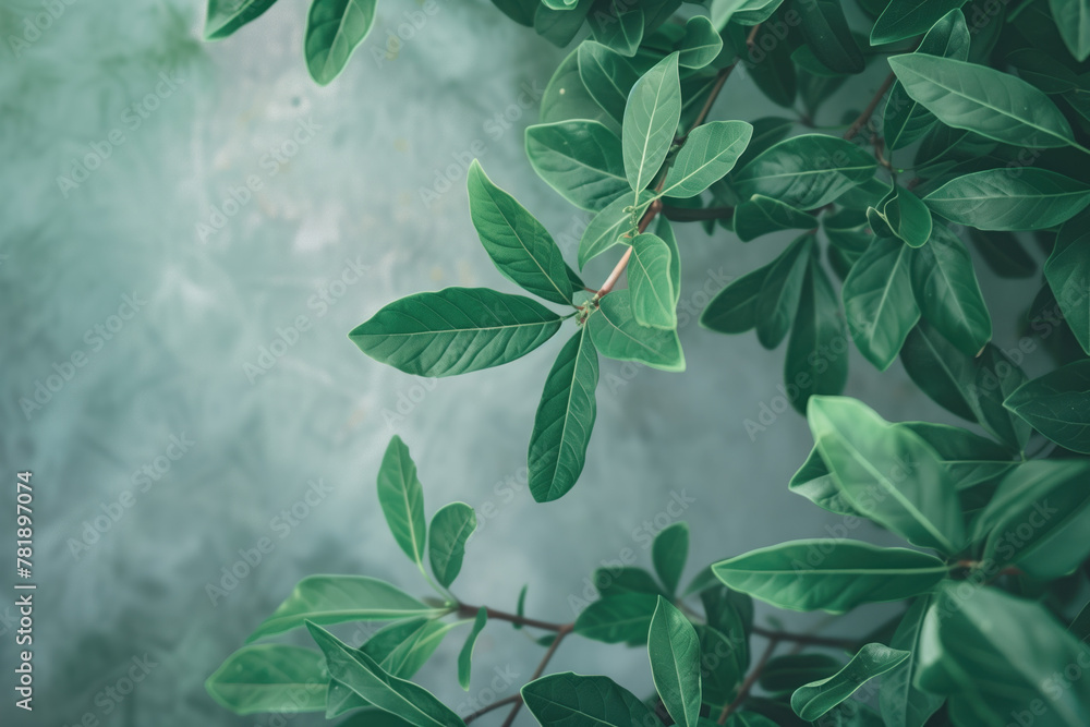 Poster slide background with green leaves framing on a painted wall. background image. created with generat