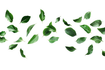 Group of Green Leaves Flying Through the Air - obrazy, fototapety, plakaty