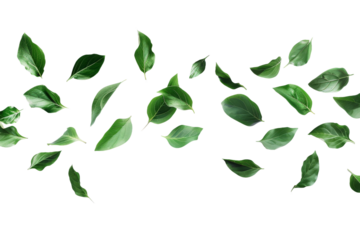 Group of Green Leaves Flying Through the Air