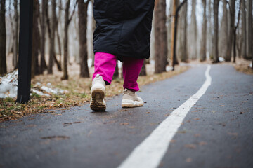 Obraz premium A person is strolling on a path through the forest