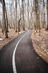 Serpentine asphalt road winding through natural forest landscape