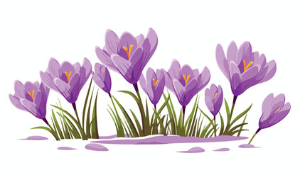 Purple crocus flower isolated vector. 2d flat carto