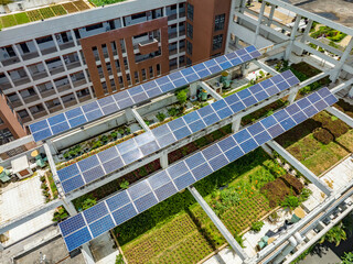 Solar panels on the school roof. - 781906405