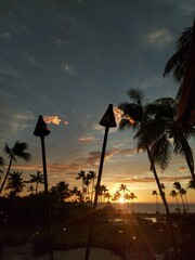 hawaii, haway, havai, green, tree, palm tree, travel, tourism, destination, island, sky, clouds, outdoor, nature, turism, beach, coastlina, shore, relax, big island, waves, ocean, water, sun, day