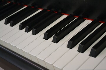 The piano, an elegant instrument, resonates with rich melodies, its ivory keys captivating...