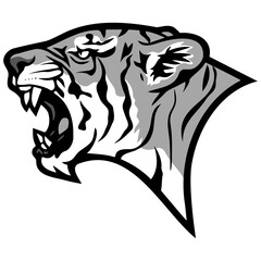 Tiger Head Roaring Mascot Design Illustration
