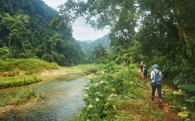 Group of hikers in jungle walk along path along river to famous Phong Nha Caves in Vietnam. - 781922657