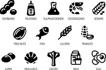 Food allergen allergy icons. include big 8 FDA Major Allergens and 14 food allergies from the EU Food Information for Consumers Regulation EFSA European Food Safety Authority Annex II