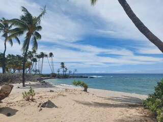 sunset, haway, hawaii, havai, big island, orange, dawn, evening, dark, palm tree, shapes, trees, sun, clouds, colours, calm, relax, fire, coastline, shore, island, paradise, flavours, taste, windy