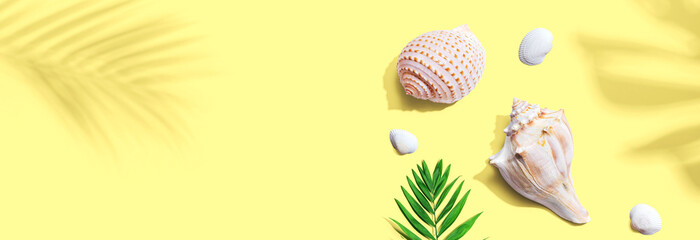 Summer concept with seashells and a palm leaf overhead view - flat lay - 781930043