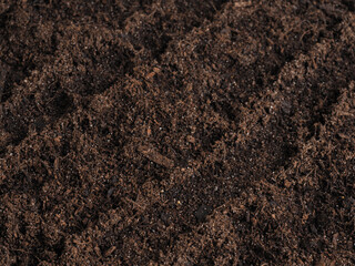 Close-up of the nutrient-rich soil