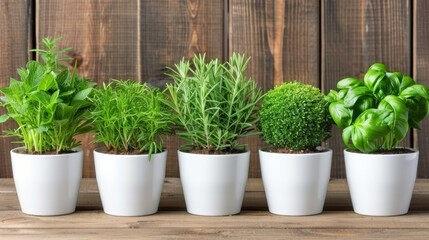 A row of potted plants with different types of herbs, including basil, parsley, and rosemary