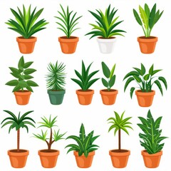 Dracaena Pot Plant Icon Set, Dracaena Plant Flat Design, Abstract Dracaena Symbol, Simple Pot Flower