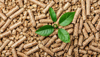 Close-up of a seedling with green leaves sprouting from a pile of wood pellets. Eco-sustainable biomass concept. Seen from directly above. Generative Ai.
