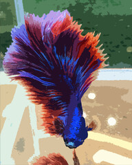 Realistic illustration of Halfmoon Betta fish with vibrant colors and elegant fins.