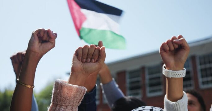 People, fist and flag of Palestine with protest for human rights, activism and alliance for freedom. Diversity, community and collaboration in park for justice, genocide and hope for peace in Gaza