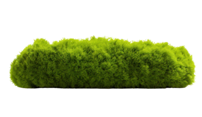 Floating rock island covered by green moss, grass and fern, isolated on transparent and white background.PNG image.