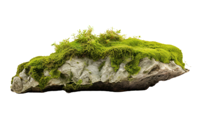 Floating rock island covered by green moss, grass and fern, isolated on transparent and white background.PNG image.