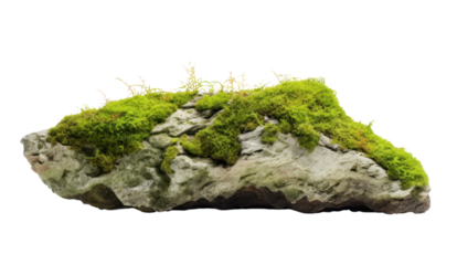 Floating rock island covered by green moss, grass and fern, isolated on transparent and white background.PNG image.