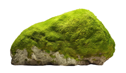 Floating rock island covered by green moss, grass and fern, isolated on transparent and white background.PNG image.