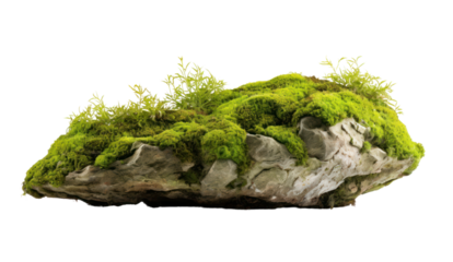 Floating rock island covered by green moss, grass and fern, isolated on transparent and white background.PNG image.