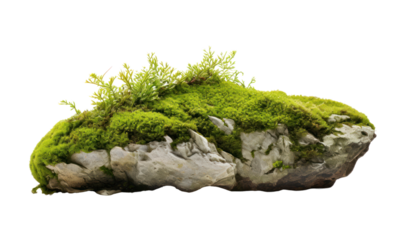 Floating rock island covered by green moss, grass and fern, isolated on transparent and white background.PNG image.