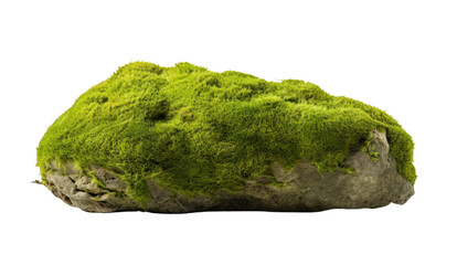Moss green on rock, isolated on transparent and white background.PNG image.