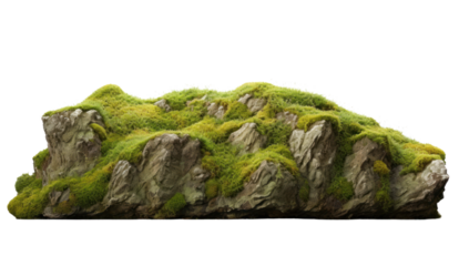 Floating rock island covered by green moss, grass and fern, isolated on transparent and white background.PNG image.