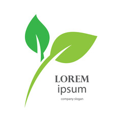 fresh leaf logo design for natural life