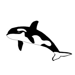 Whale Outline Illustration