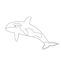 Whale Outline Illustration
