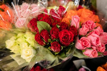Beautiful view of red,pink,white and orange roses for sale