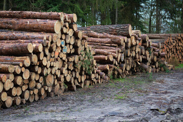 Timber harvesting in commercial forests, Germany.