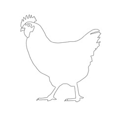 Chicken Outline | Chicken Line Art | Hen Illustration