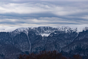 mountain range, winter mountains, forest zone, avalanche-dangerous slopes, gray winter clouds